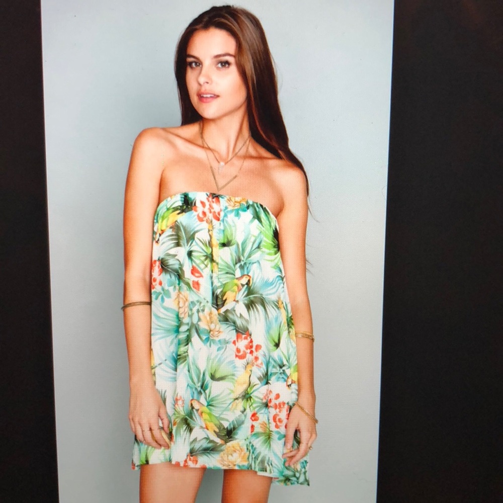 Show Me Your MuMu Lorraine Tube Dress